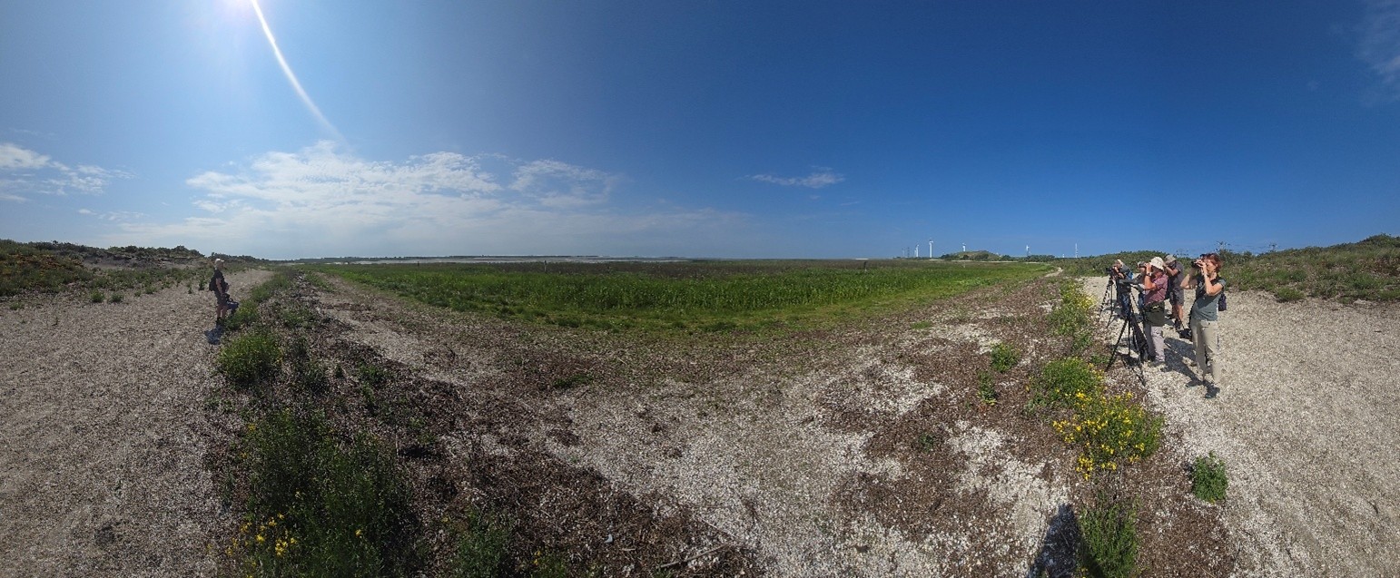 (Maasvlakte). Foto van Johan Meijer.
Wie kijkt naar wie